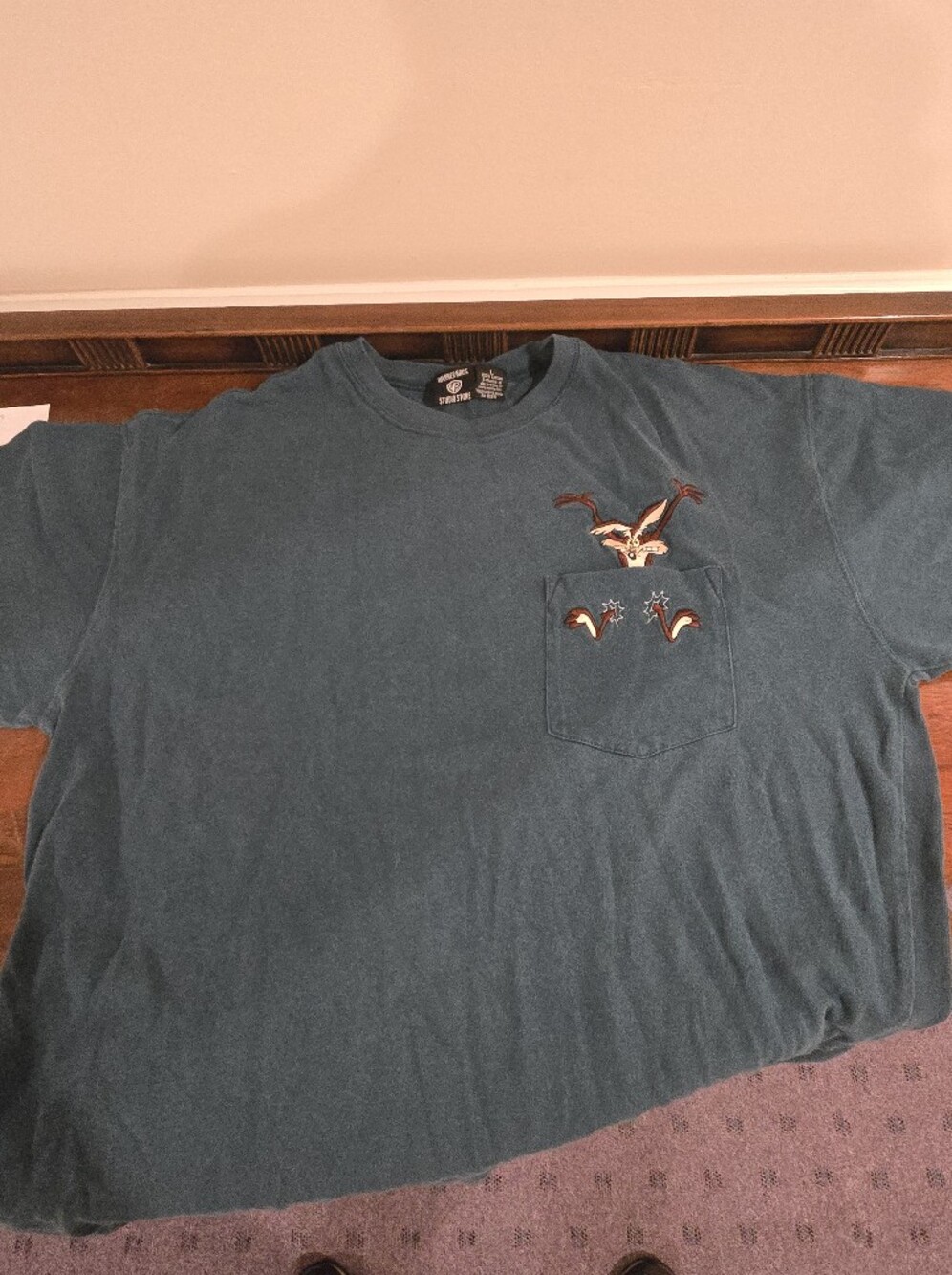 Warner Bros. Teal Crewneck T‑Shirt Wile E Coyote Looney Tunes
